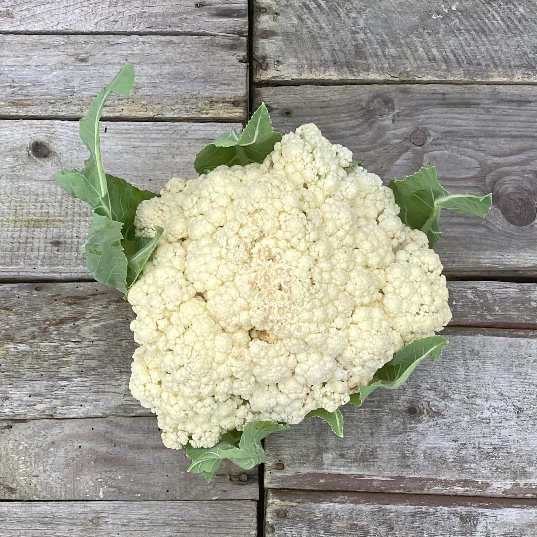 Bio-Blumenkohl "Neckarperle"