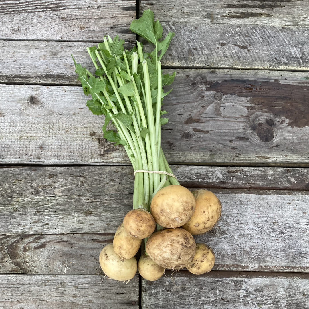 Bio-Herbstrüben "Golden Ball"