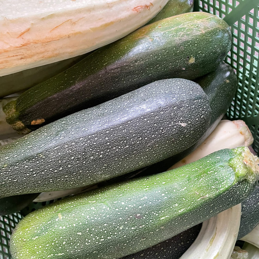 Bio-Retterkiste "Zucchini" ca. 5 kg