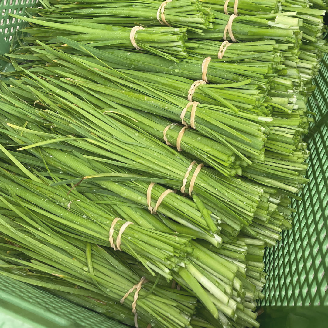 Gebündelter Schnittknoblauch