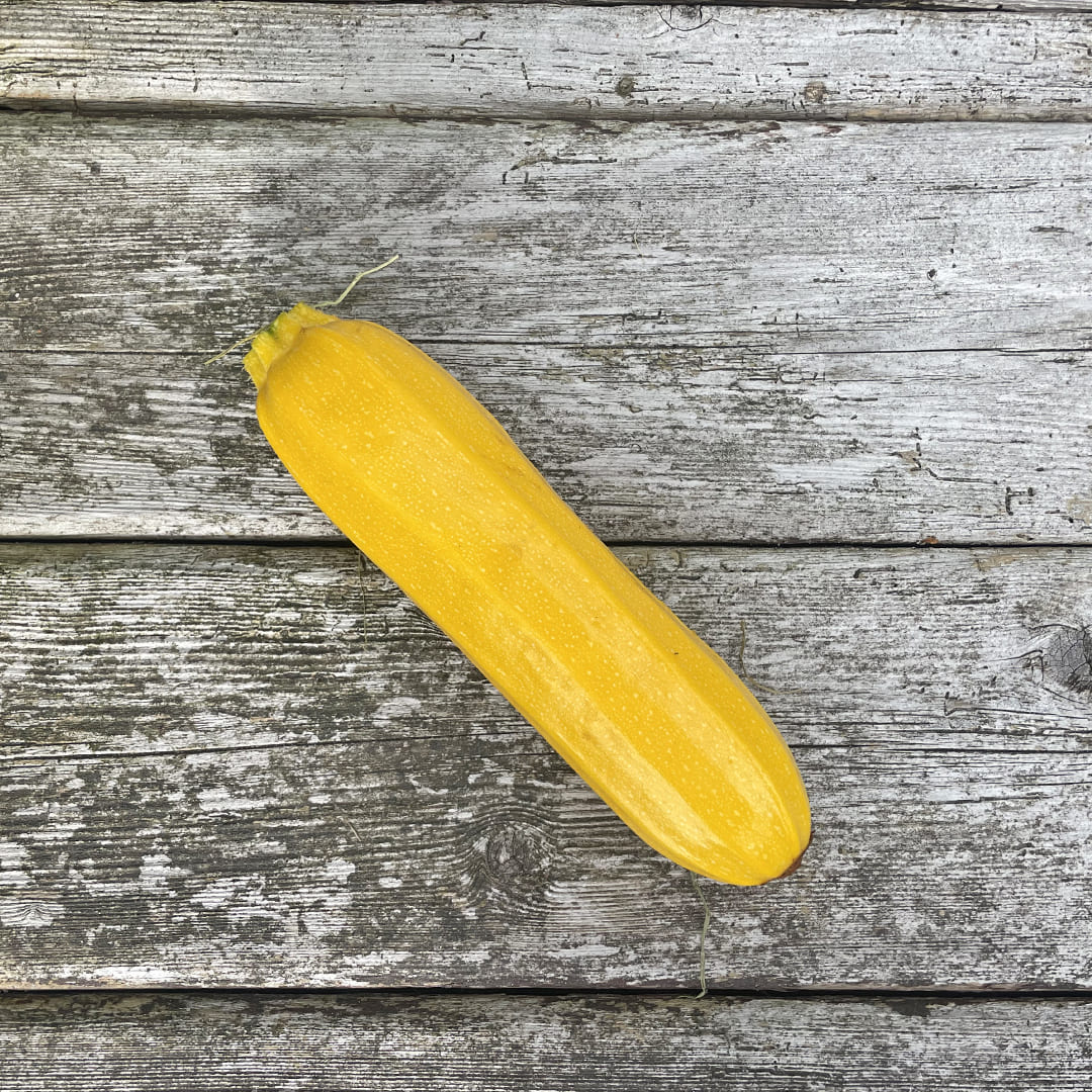 Gelbe Bio-Zucchini auf Holzhintergrund