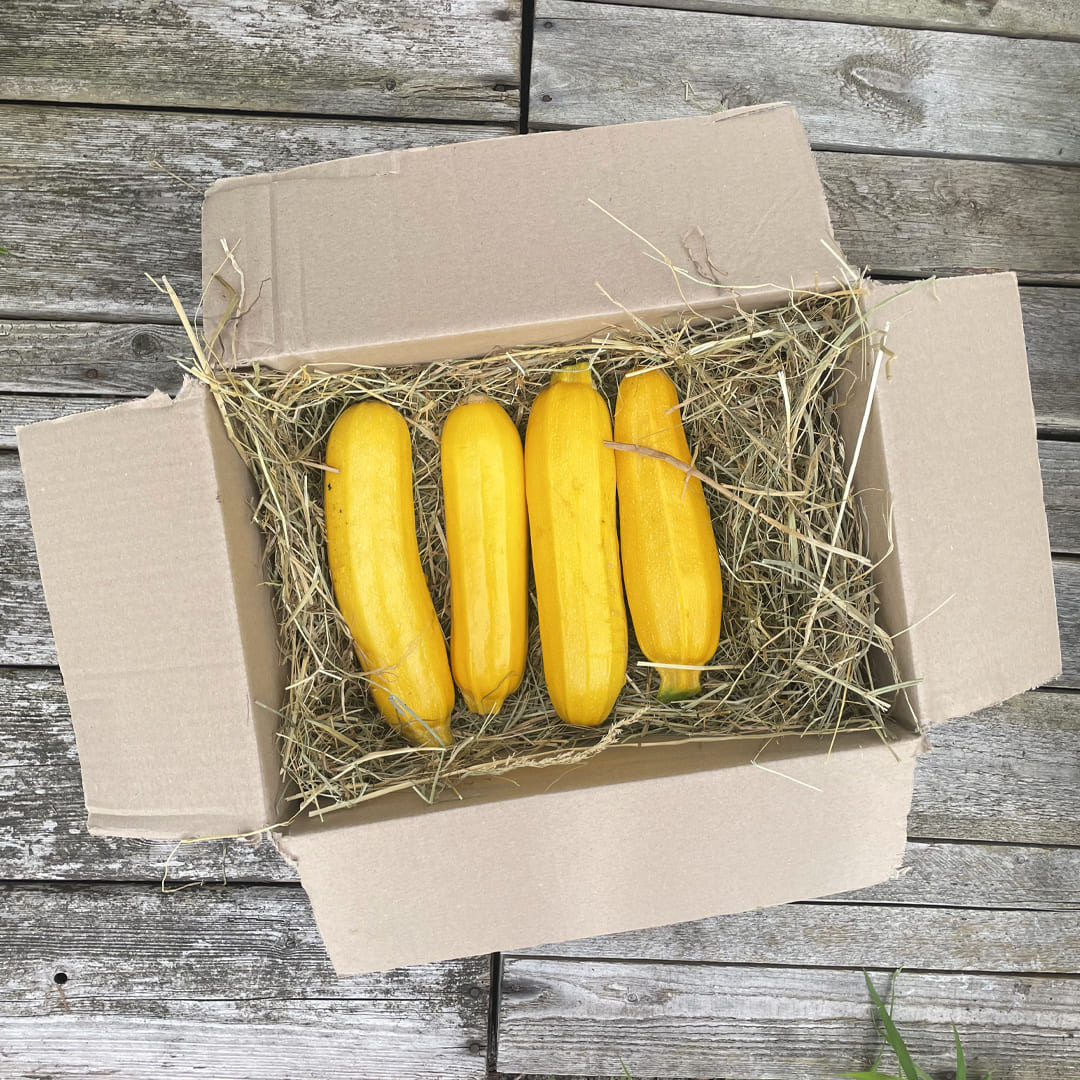 1 kg gelbe Bio-Zucchini im Karton