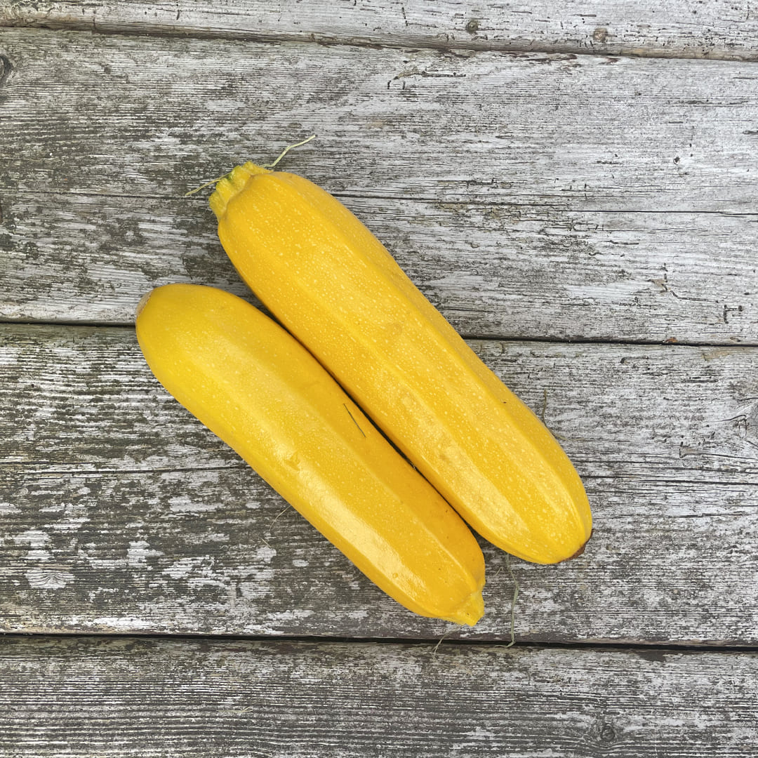 2 gelbe Bio-Zucchini