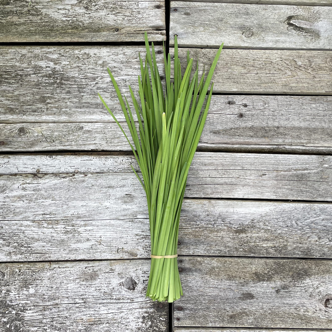 Bio-Schnittknoblauch im Bund