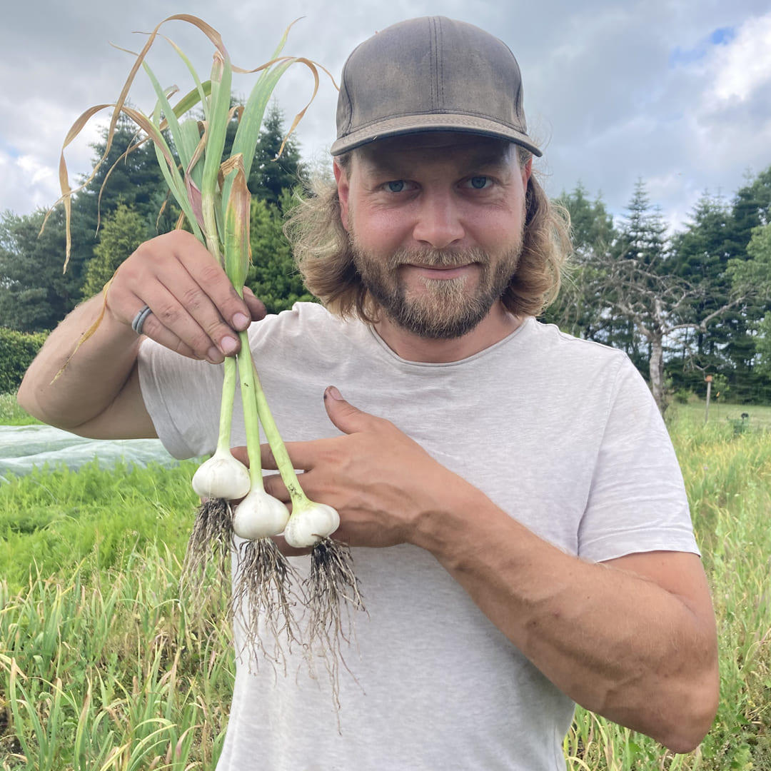 Bio-Knoblauch "Vallelado"
