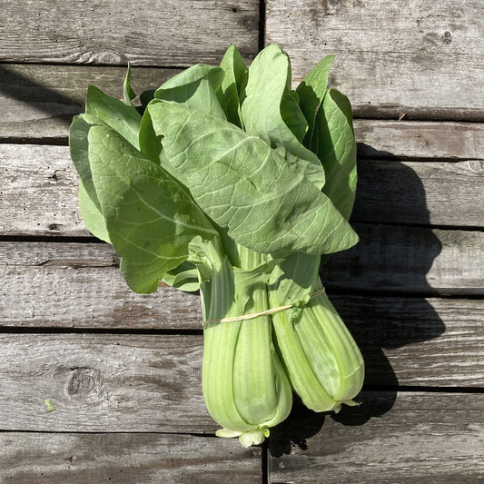 Gebratene Nudeln mit Pak Choi und Schnittknoblauch