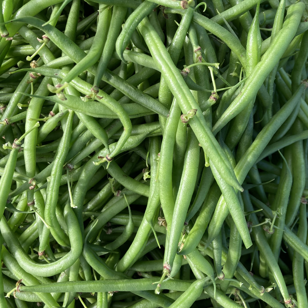 Bohnen-Hähnchen-Geschnetzeltes