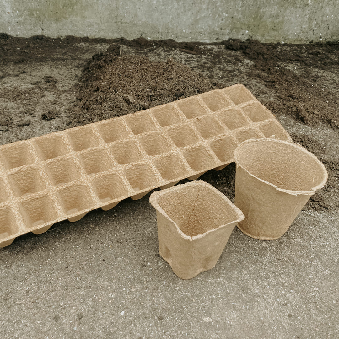Bio-Jungpflanzenanzucht für den Hobbygarten