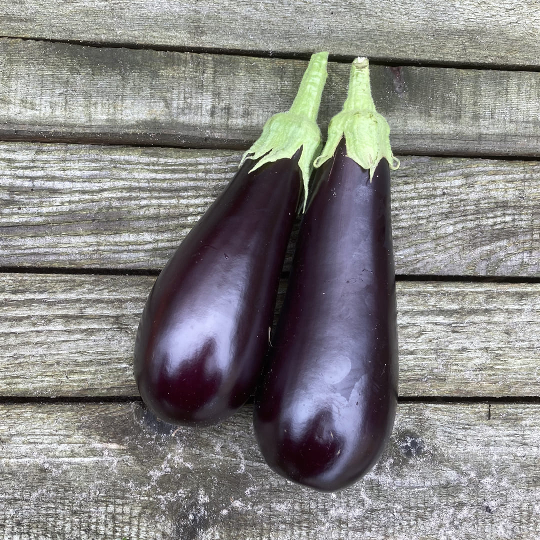 Bio-Aubergine 