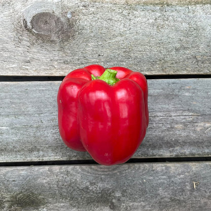 Bio-Blockpaprika "Yolo Wonder"