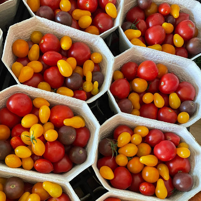 Bio-Cherrytomaten-Mix