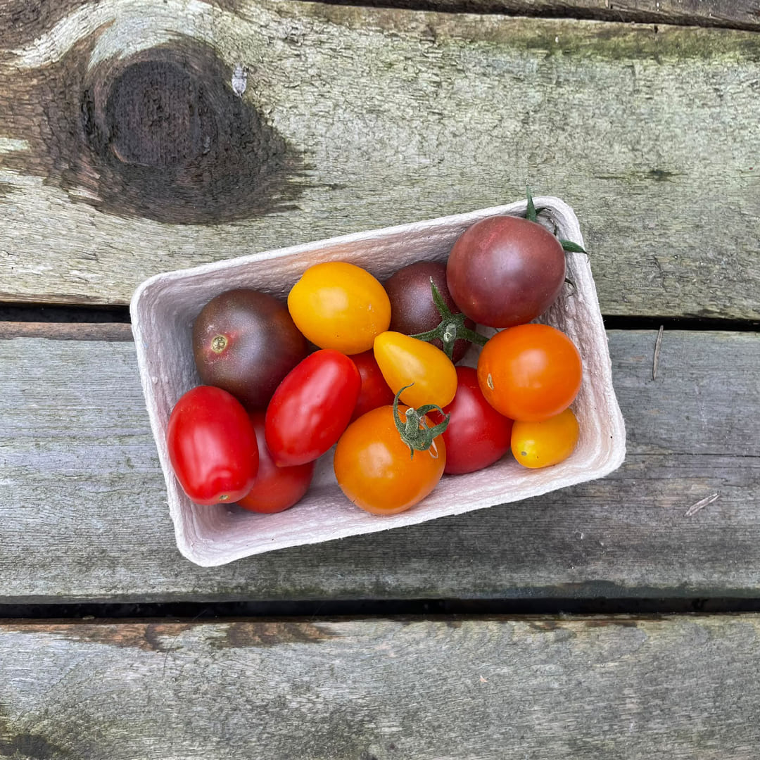 Bio-Cherrytomaten-Mix