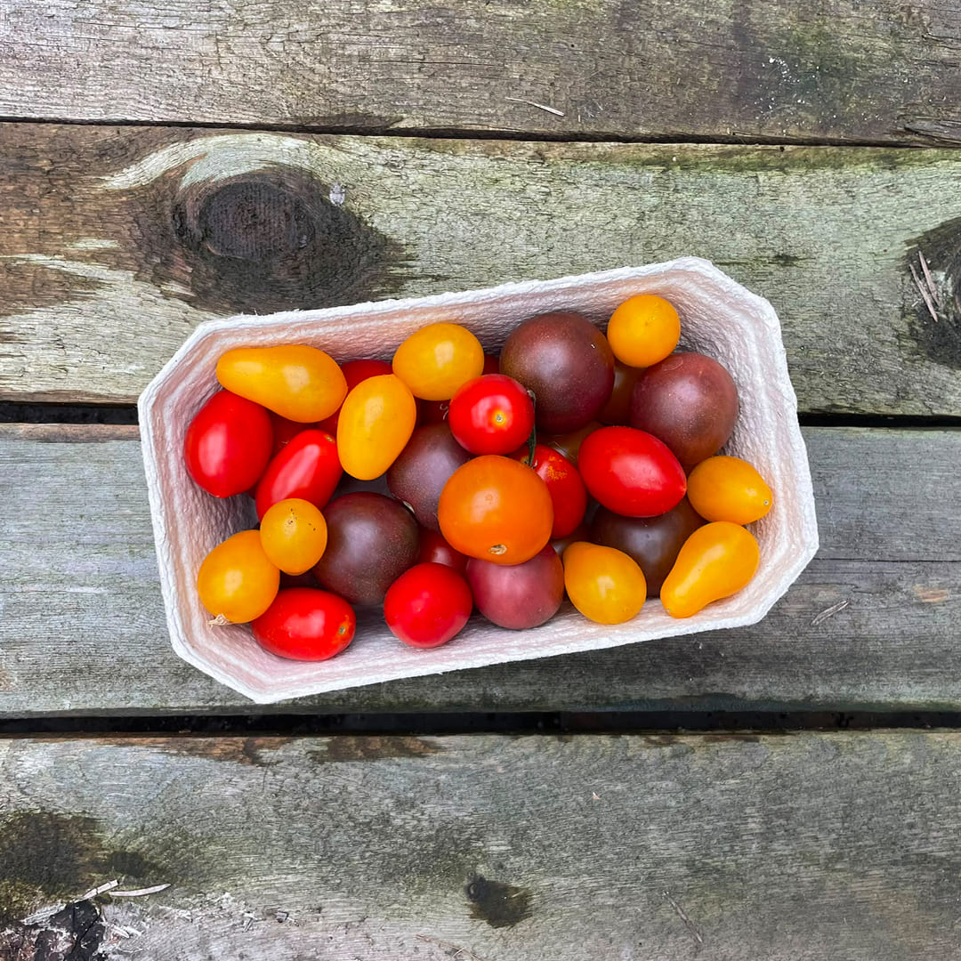 Bio-Cherrytomaten-Mix