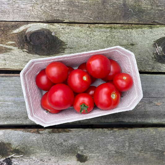 Bio-Cocktailtomate "Ruthje"