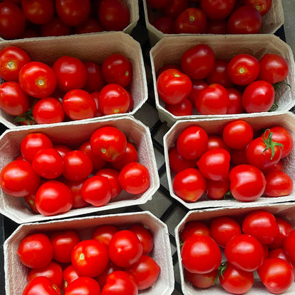 Bio-Cocktailtomate "Ruthje"