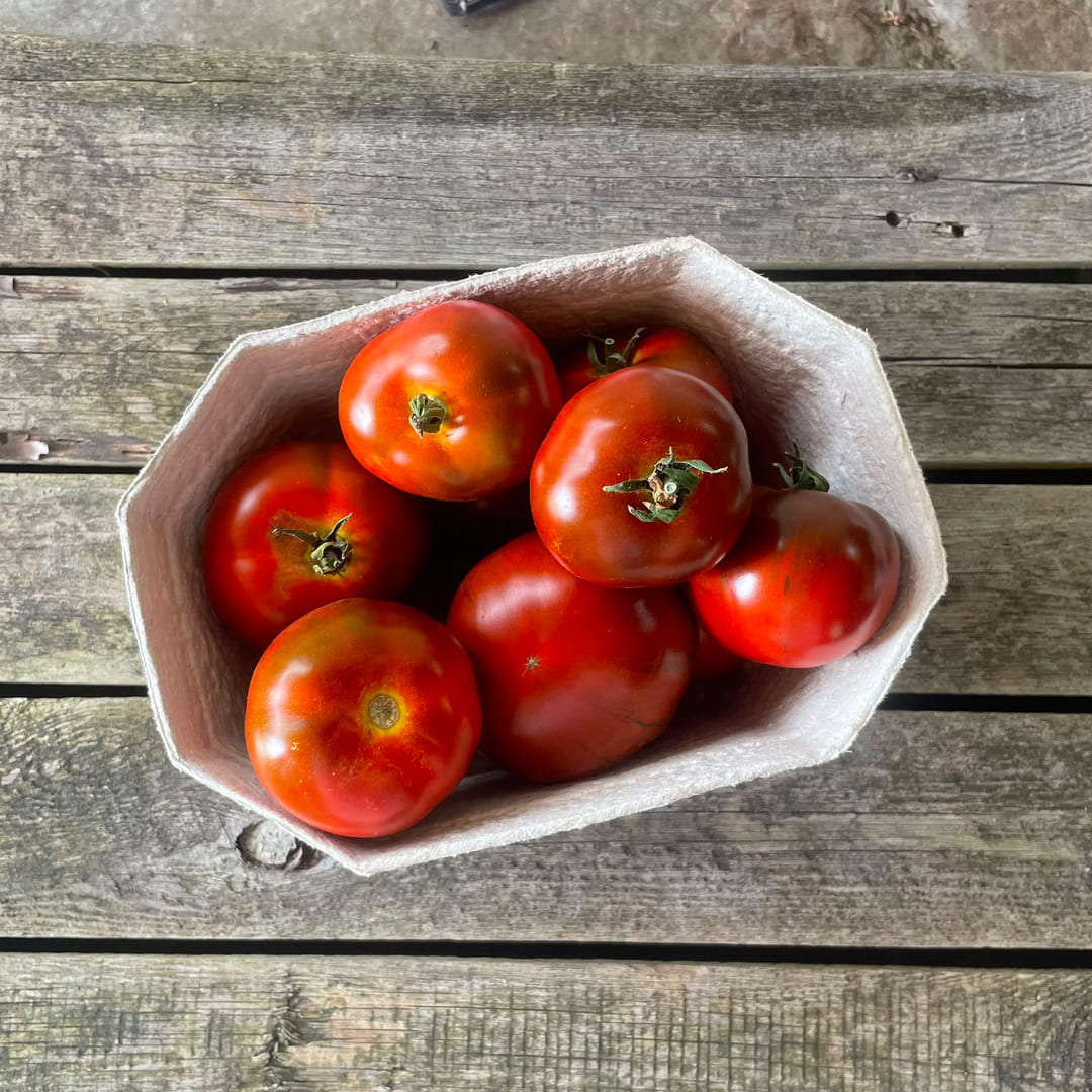 Bio-Salattomate "Revilla"