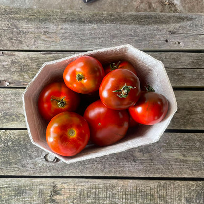 Bio-Salattomate "Revilla"
