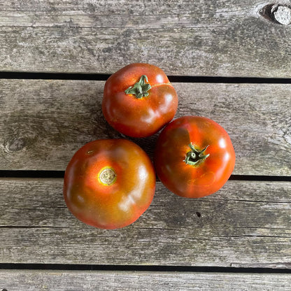 Bio-Salattomate "Revilla"
