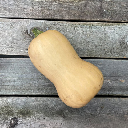 Bio-Butternut Kürbis "Nutterbutter"