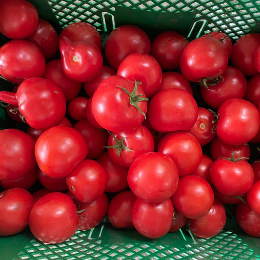 Bio-Retterkiste "Salattomaten" ca. 4 kg