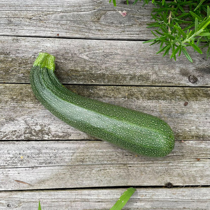 Bio-Zucchini