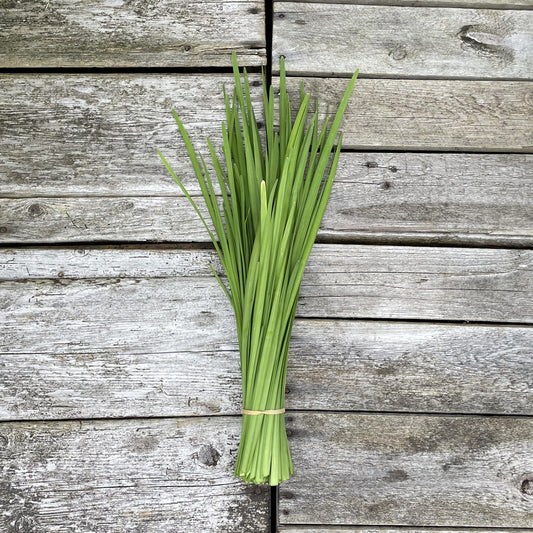 Bio-Schnittknoblauch im Bund