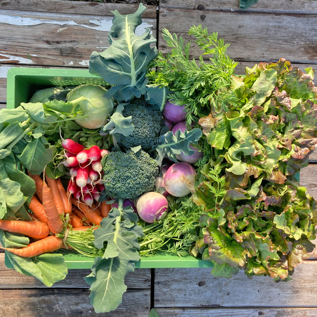 Große Gemüsekiste 