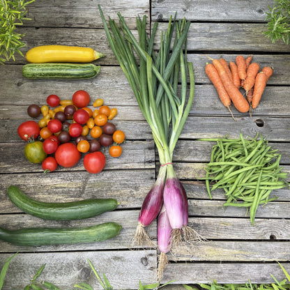 Gemüsekiste Sommer der Gemüsezeit