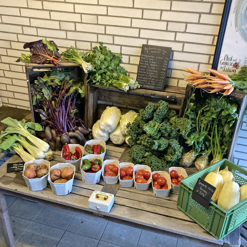 multicolumns-item-image-3