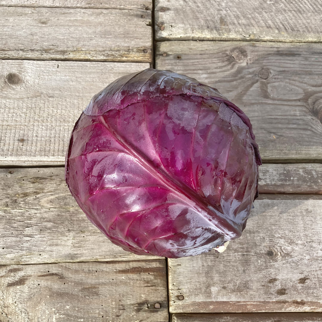 Bio-Rotkohl 
