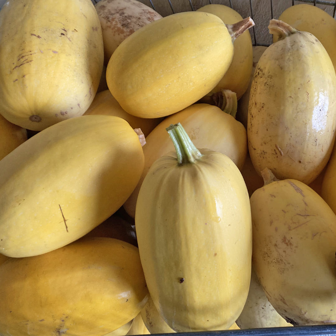 Bio-Spaghetti Kürbis