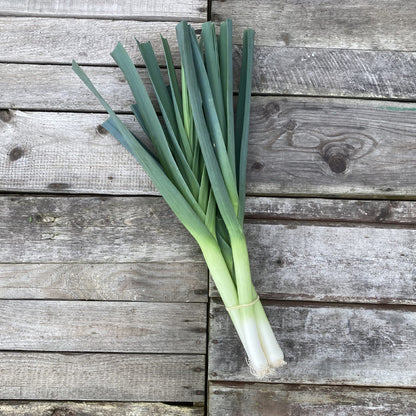 Bio-Porree "Herbstriesen"