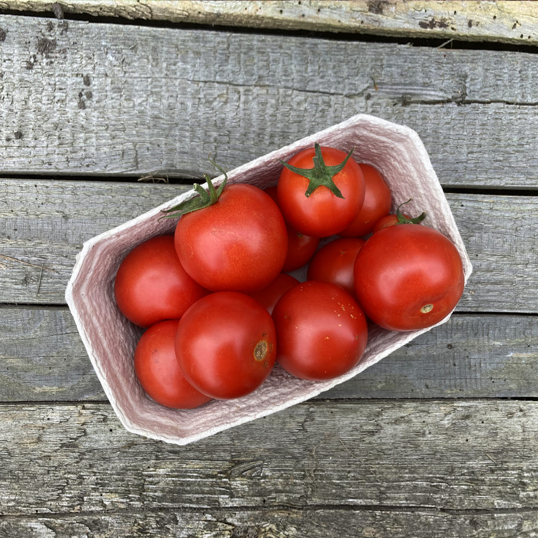 Bio-Salattomate "Tica"