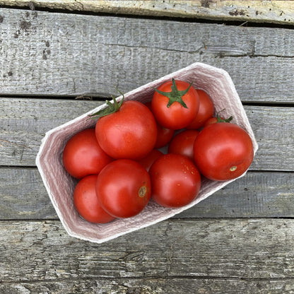 Bio-Salattomate "Tica"