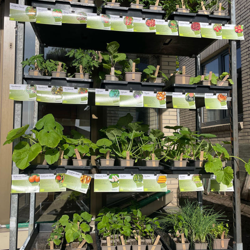 multicolumns-item-image-2