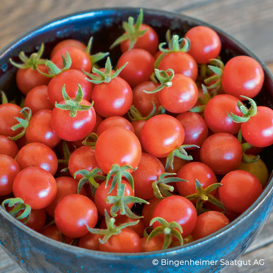 Wildtomate Rote Murmel