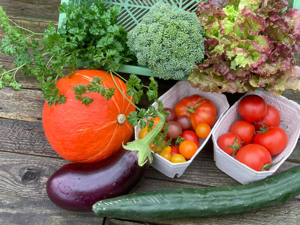 Gemüsekiste mit Sommer- und Herbstgemüse